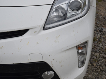 キャンピングカーの虫痕などの汚れが落としやすい・残りにくい